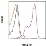 IRF4 Monoclonal Antibody (3E4), PE, eBioscience™