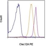 CD371 (Clec12A) Monoclonal Antibody (HB3), PE, eBioscience™