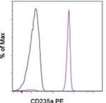 CD235a (Glycophorin A) Monoclonal Antibody (HIR2 (GA-R2)), PE, eBioscience™
