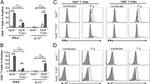 IFN gamma Antibody in Flow Cytometry (Flow)
