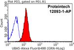 UBA5 Antibody in Flow Cytometry (Flow)