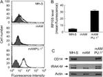 CD180 (RP105) Antibody in Flow Cytometry (Flow)