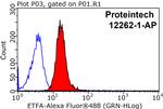ETFA Antibody in Flow Cytometry (Flow)