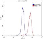 PrP Antibody in Flow Cytometry (Flow)
