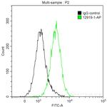 PKC Pan Antibody in Flow Cytometry (Flow)
