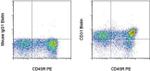 CD31 (PECAM-1) Monoclonal Antibody (TLD-3A12), Biotin, eBioscience™