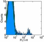 Granulocyte Marker Monoclonal Antibody (HIS48), Biotin, eBioscience™