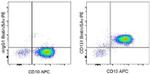 CD131 Monoclonal Antibody (1C1), Biotin, eBioscience™