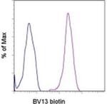 CD144 (VE-cadherin) Monoclonal Antibody (eBioBV13 (BV13)), Biotin, eBioscience™