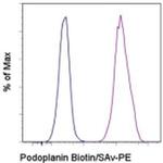 Podoplanin Monoclonal Antibody (eBio8.1.1 (8.1.1)), Biotin, eBioscience™