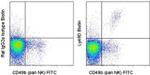 Ly-49D Antibody in Flow Cytometry (Flow)