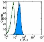 CD178 (Fas Ligand) Monoclonal Antibody (MFL3), Biotin, eBioscience™