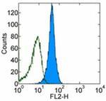 CD270 (HVEM) Monoclonal Antibody (eBioHVEM-122), Biotin, eBioscience™