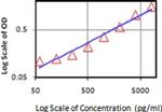 IL-28 (IFN lambda) Antibody in ELISA (ELISA)
