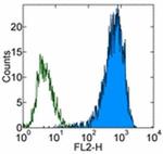 SSEA4 Monoclonal Antibody (eBioMC-813-70 (MC-813-70)), Biotin, eBioscience™