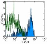 c-Met Monoclonal Antibody (eBioclone 97), Biotin, eBioscience™
