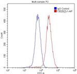 MMP23B Antibody in Flow Cytometry (Flow)