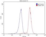 L-Plastin Antibody in Flow Cytometry (Flow)