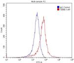 ADRB2 Antibody in Flow Cytometry (Flow)