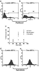 Tau Antibody in Flow Cytometry (Flow)
