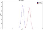 HSP90 Antibody in Flow Cytometry (Flow)