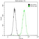 DNAJB1 Antibody in Flow Cytometry (Flow)