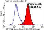 CYP1A1 Antibody in Flow Cytometry (Flow)