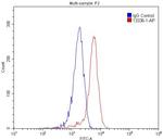 LENG8 Antibody in Flow Cytometry (Flow)