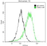 TPSAB1 Antibody in Flow Cytometry (Flow)