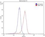 CCRL2 Antibody in Flow Cytometry (Flow)