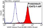 VASP Antibody in Flow Cytometry (Flow)