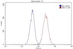 Beta-2-microglobulin Antibody in Flow Cytometry (Flow)