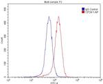 EPHA8 Antibody in Flow Cytometry (Flow)