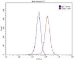 PPFIBP1 Antibody in Flow Cytometry (Flow)