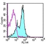 CD1d Monoclonal Antibody (1B1), eBioscience™