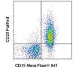 CD20 Monoclonal Antibody (AISB12), eBioscience™