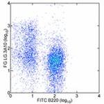 CD27 Monoclonal Antibody (LG.3A10), eBioscience™