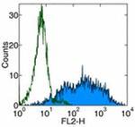 CD70 Monoclonal Antibody (FR70), eBioscience™