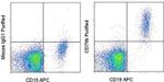 CD79b Monoclonal Antibody (CB3-1), eBioscience™