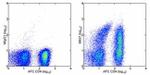 CD101 Monoclonal Antibody (BB27), eBioscience™
