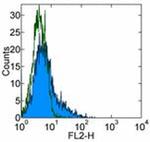 CD106 (VCAM-1) Monoclonal Antibody (eBioMR106 (MR106)), eBioscience™