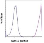 CD146 Monoclonal Antibody (P1H12), eBioscience™