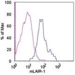 CD305 (LAIR1) Monoclonal Antibody (113), eBioscience™