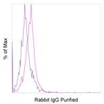 Rabbit IgG Recombinant Isotype Control (RbNP15), eBioscience™