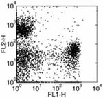 Ly-6G/Ly-6C Monoclonal Antibody (RB6-8C5), eBioscience™