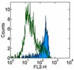 CD253 (TRAIL) Monoclonal Antibody (N2B2), eBioscience™