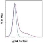Baculovirus Envelope gp64 Monoclonal Antibody (AcV1), eBioscience™