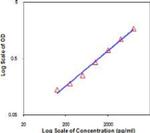 IL-19 Monoclonal Antibody (RN19), eBioscience™