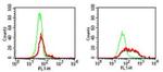 CD289 (TLR9) Monoclonal Antibody (eB72-1665), eBioscience™
