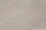 RARB Antibody in Immunohistochemistry (Paraffin) (IHC (P))
